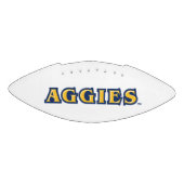 NCA&T Staatsuniversiteit | Aggies Wordmark American Football (Paneel)
