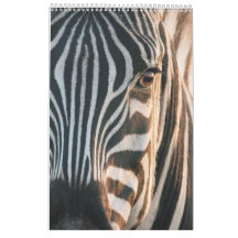 ncounters in Africa's Wild Kingdom, kalender 2024,