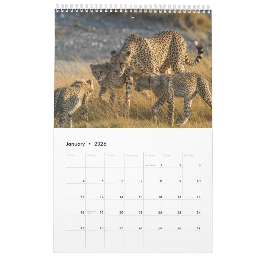 ncounters in Africa's Wild Kingdom, kalender 2024, (Jan 2026)
