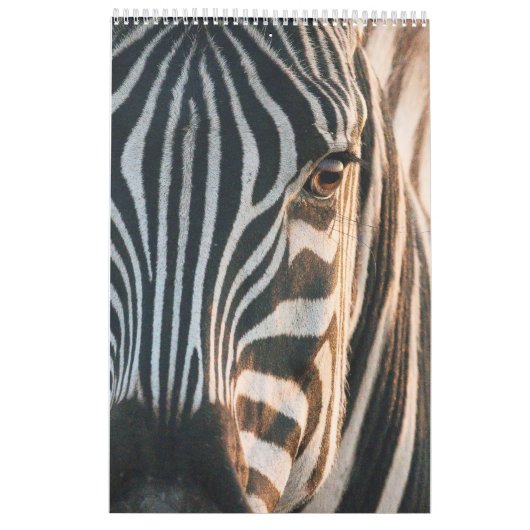 ncounters in Africa's Wild Kingdom, kalender 2024, (Achterkant)