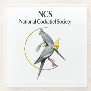 NCS Glass Onderzetter
