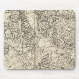 NE California en NW Nevada 2 Muismat