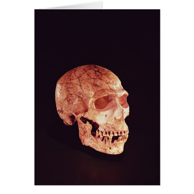 Neanderthaler ontdekt op Mt Carmel (Voorkant)