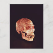Neanderthaler ontdekt op Mt Carmel Briefkaart (Voorkant)