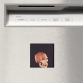 Neanderthaler ontdekt op Mt Carmel Magneet (Insitu (Vaatwasser))