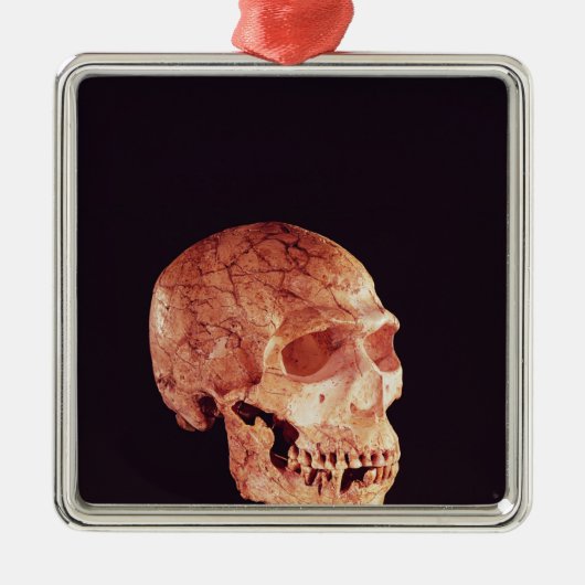 Neanderthaler ontdekt op Mt Carmel Metalen Ornament (Voorkant)