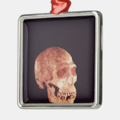 Neanderthaler ontdekt op Mt Carmel Metalen Ornament (Links)