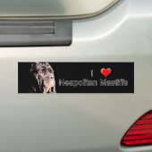 Neapolitan mastiff bumper sticker (Op auto)