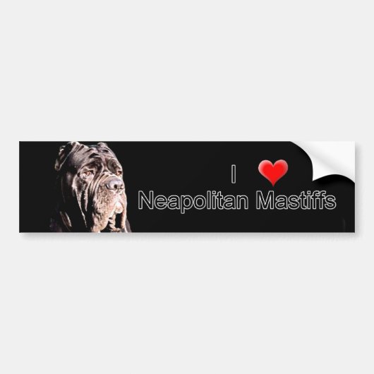 Neapolitan mastiff bumper sticker (Voorkant)