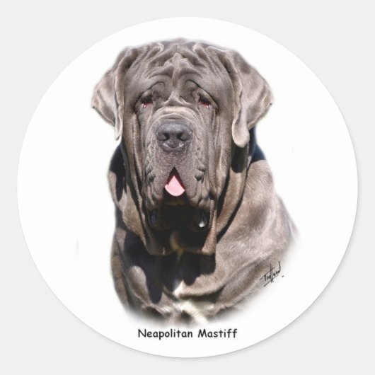 Neapolitan Mastiff Ronde Sticker (Voorkant)