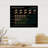 Near-Earth Asteroids Poster (Keuken)