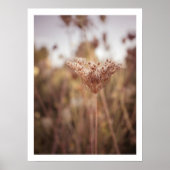 Neatral warme herfst wilde bloem boerderij muurkun poster (Voorkant)