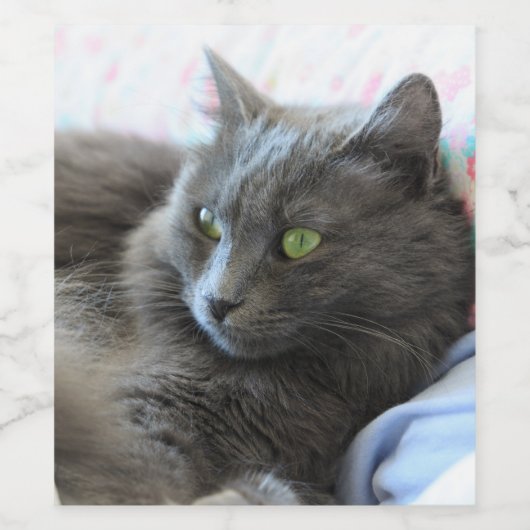 Nebelung cat wijn etiket (Enkel label)