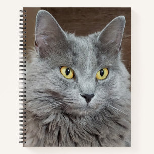 Nebelung langharige Russisch Blauwe Kat Notitieboe Notitieboek