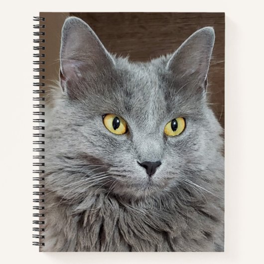 Nebelung langharige Russisch Blauwe Kat Notitieboe Notitieboek (Voorkant)