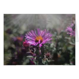 Nebraska City, oktober 2015