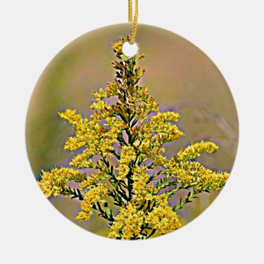 Nebraska Goldenrod Keramisch Ornament (Voorkant)