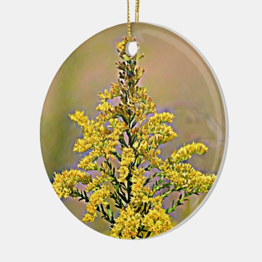 Nebraska Goldenrod Keramisch Ornament (Links)