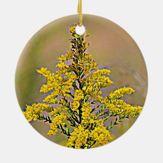 Nebraska Goldenrod Keramisch Ornament (Achterkant)