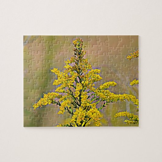 Nebraska Goldenrod Legpuzzel (Horizontaal)