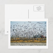 NEBRASKA-UITZICHTEN BRIEFKAART (Voorkant / Achterkant)