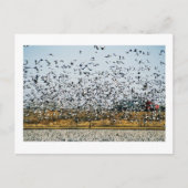 NEBRASKA-UITZICHTEN BRIEFKAART (Voorkant)