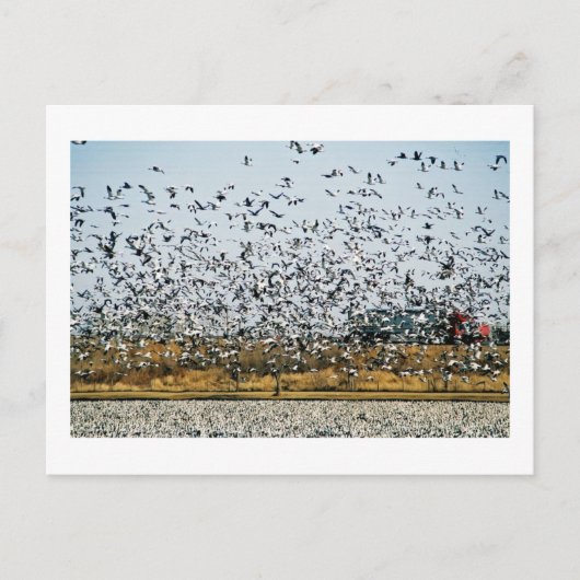 NEBRASKA-UITZICHTEN BRIEFKAART (Voorkant)