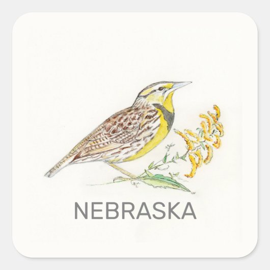 Nebraska-vogel en -bloem vierkante sticker (Voorkant)