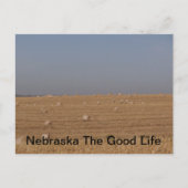 nebraskan briefkaart (Voorkant)