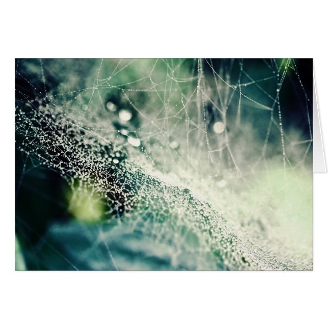 Nebula (Voorkant Horizontaal)