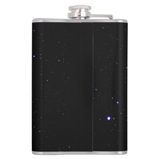 Nebula Cat Vinyl Flask Heupfles (Achterkant)