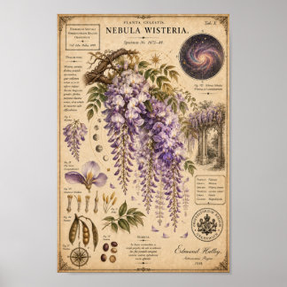 Nebula Wisteria Victoriaans Botanisch Museum Print