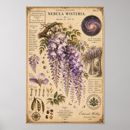 Nebula Wisteria Victoriaans Botanisch Museum Print (Voorkant)