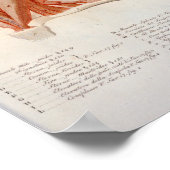 Neck Muscles Skull Anatomy Print French (Hoek)