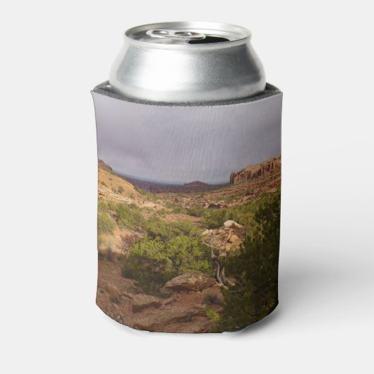 Neck Springs Trail in Canyonlands National Park Blikjeskoeler (Blikje Achterkant)