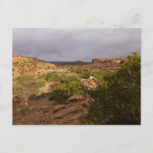 Neck Springs Trail in Canyonlands National Park Briefkaart