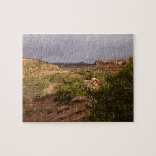 Neck Springs Trail in Canyonlands National Park Legpuzzel