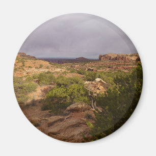 Neck Springs Trail in Canyonlands National Park Magneet