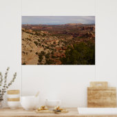 Neck Springs Trail in Canyonlands National Park Poster (Keuken)