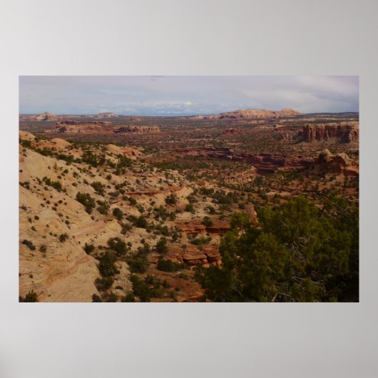 Neck Springs Trail in Canyonlands National Park Poster (Voorkant)