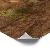 Neck Springs Trail in Canyonlands National Park Poster (Hoek)