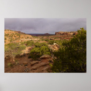 Neck Springs Trail in Canyonlands National Park Poster