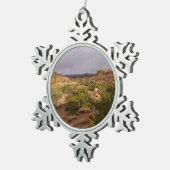 Neck Springs Trail in Canyonlands National Park Tin Sneeuwvlok Ornament (Rechts)