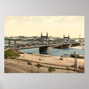 Neckar Bridge, Mannheim, Duitsland Poster