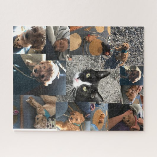 Neco & nutmeg legpuzzel (Horizontaal)