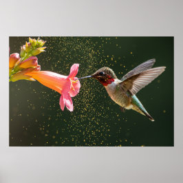 Nectar gloed van Hummingbird Poster