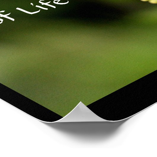 Nectar of Life Poster (Hoek)