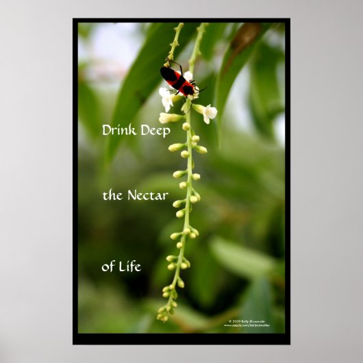 Nectar of Life Poster (Voorkant)
