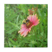 Nectar of Life Tegeltje (Voorkant)