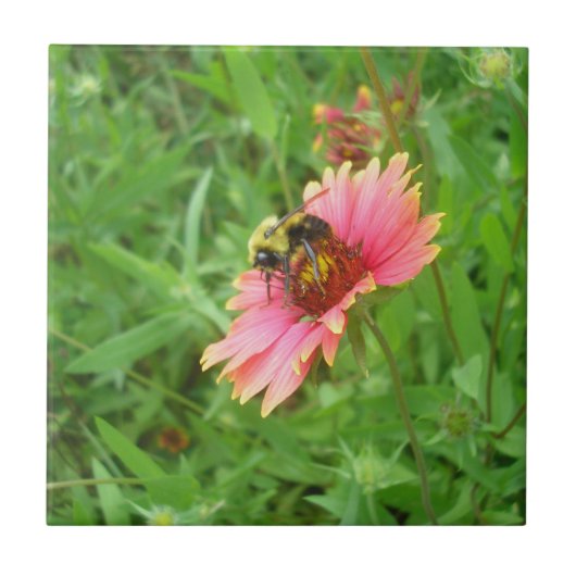 Nectar of Life Tegeltje (Voorkant)